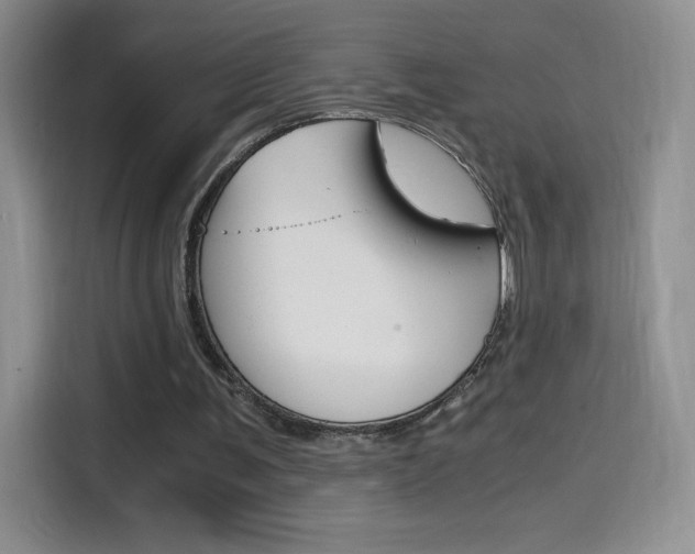 X0000114600291200910191059