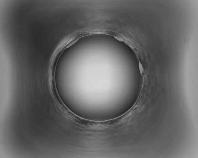 X0000114600293200910191059