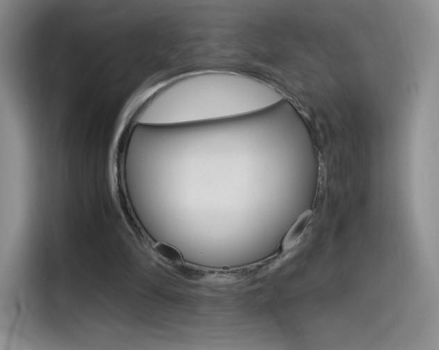 X0000114600294200910191059