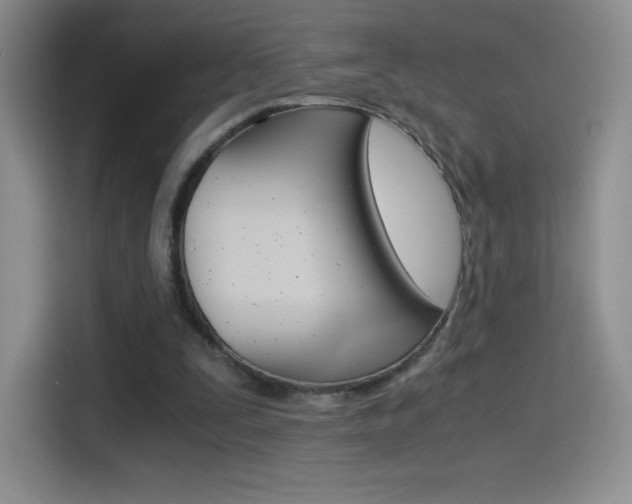 X0000114600295200910191059