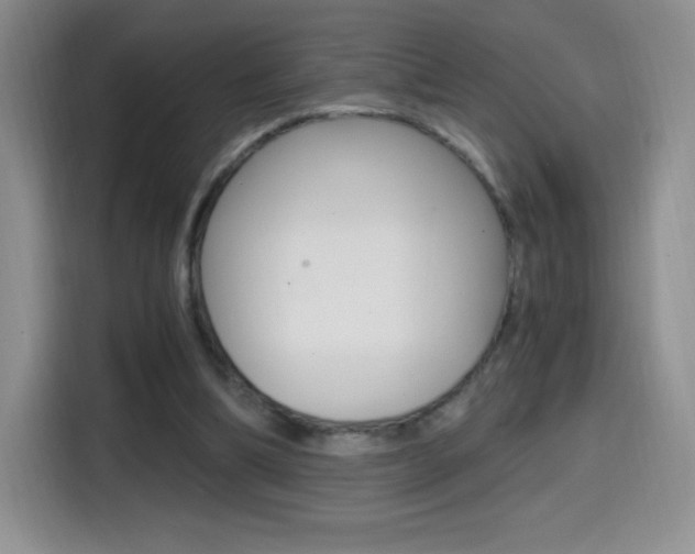 X0000114600298200910191059