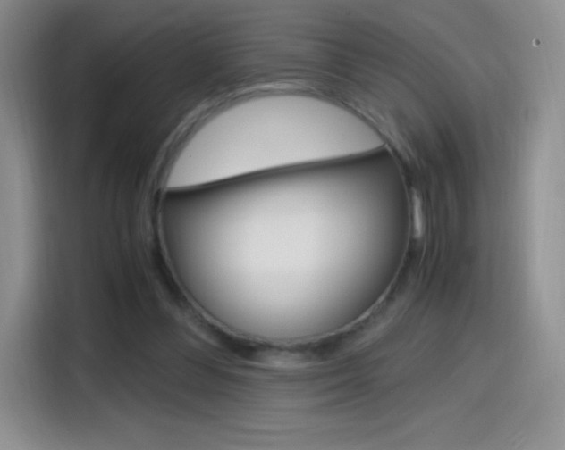 X0000114600300200910191059