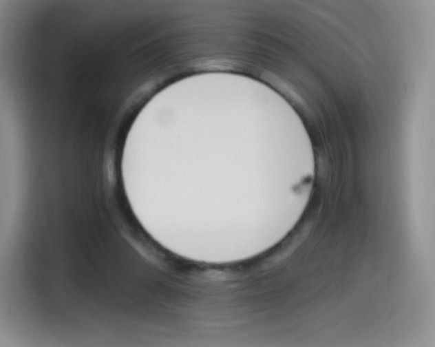 X0000114600302200910191059