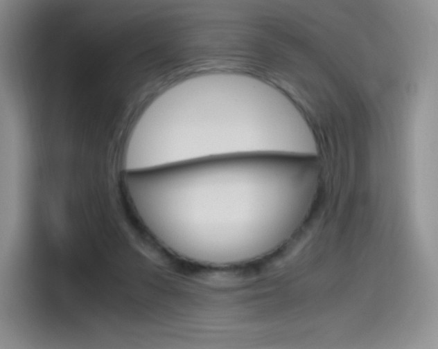 X0000114600303200910191059