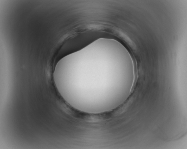 X0000114600305200910191059