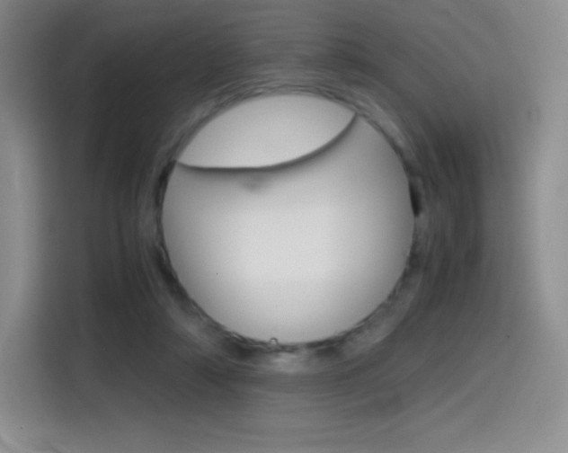 X0000114600306200910191059