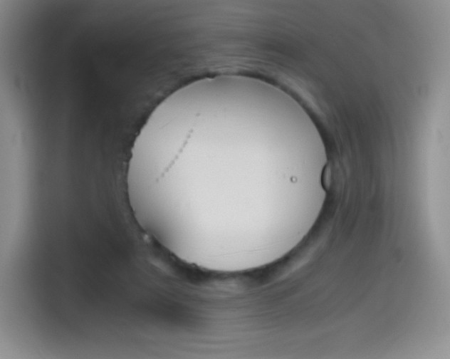 X0000114600307200910191059