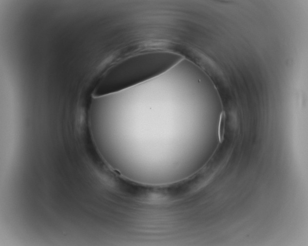 X0000114600308200910191059