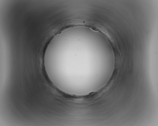 X0000114600309200910191059