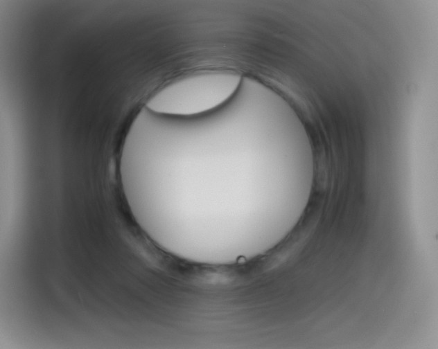 X0000114600310200910191059