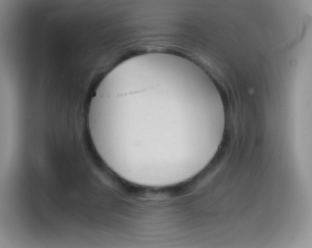 X0000114600311200910191059