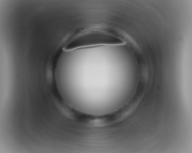 X0000114600312200910191059