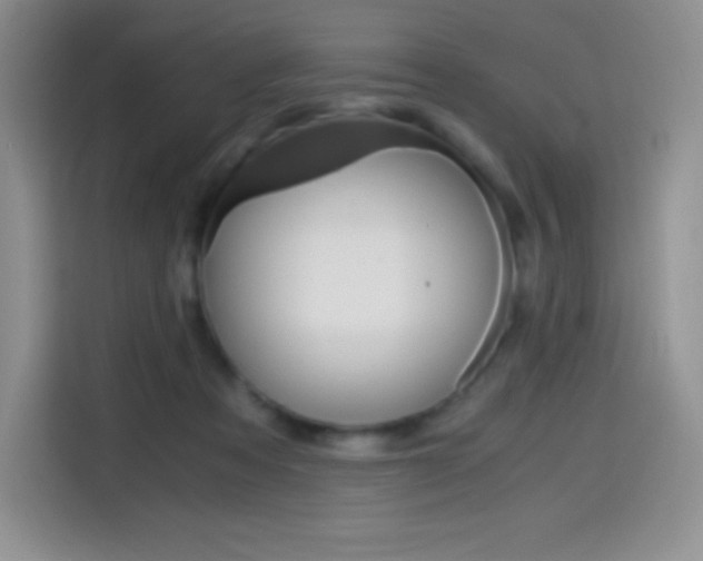 X0000114600313200910191059