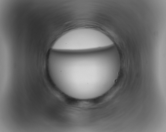 X0000114600315200910191059