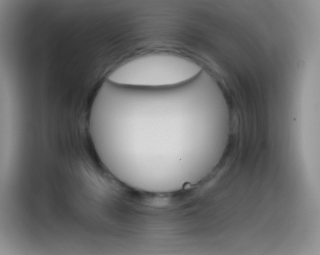 X0000114600318200910191059