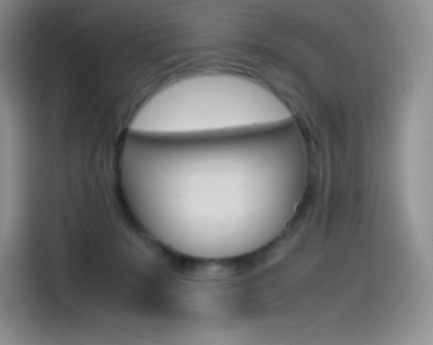 X0000114600319200910191059