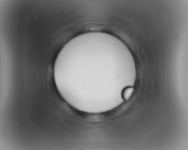 X0000114600321200910191059