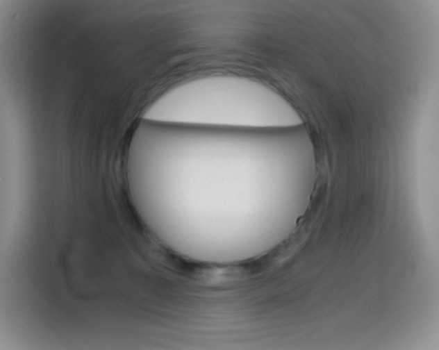 X0000114600323200910191059