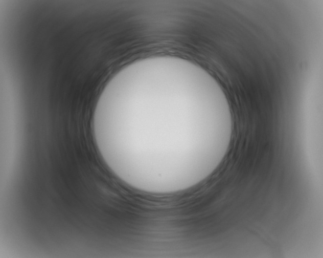 X0000114600324200910191059