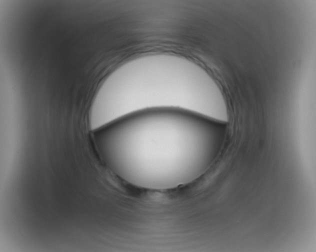 X0000114600325200910191059