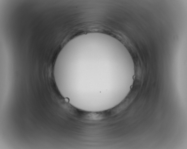 X0000114600326200910191059