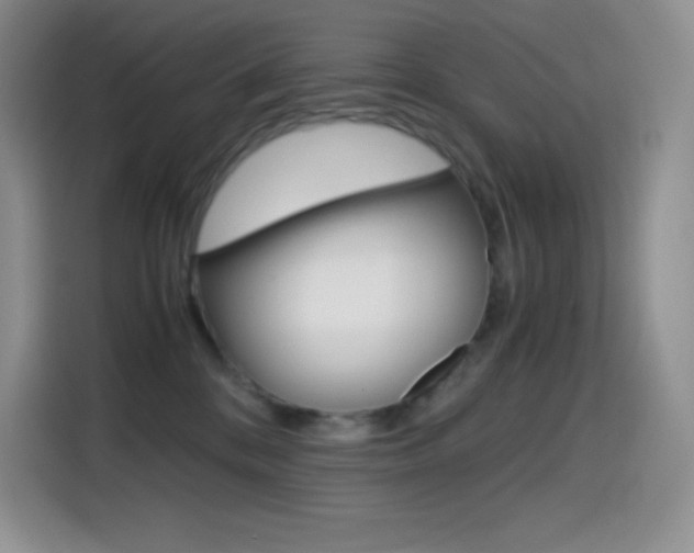 X0000114600328200910191059