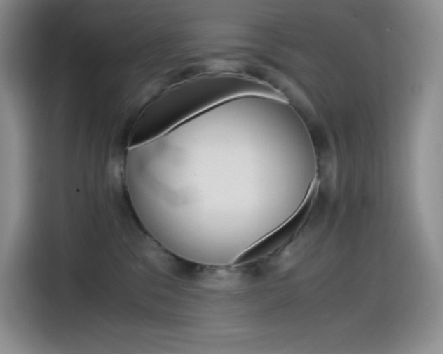 X0000114600329200910191059