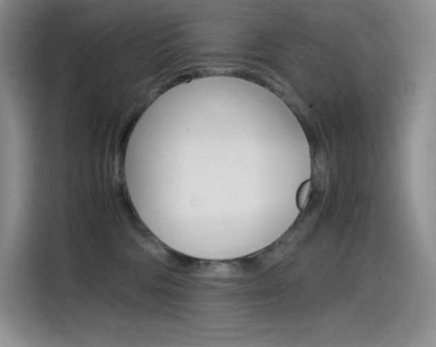 X0000114600330200910191059