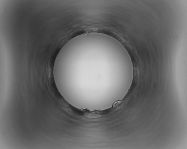 X0000114600331200910191059