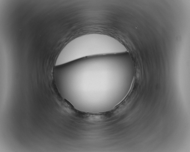 X0000114600332200910191059