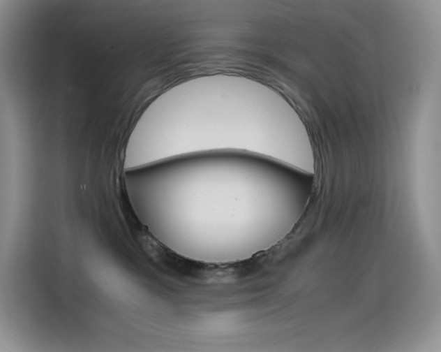 X0000114600333200910191059