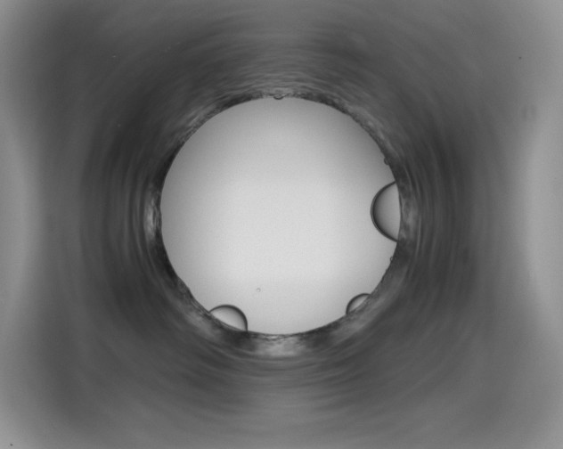 X0000114600334200910191059