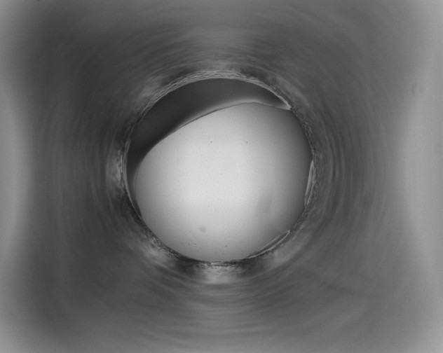 X0000114600336200910191059