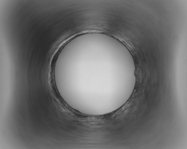 X0000114600338200910191058