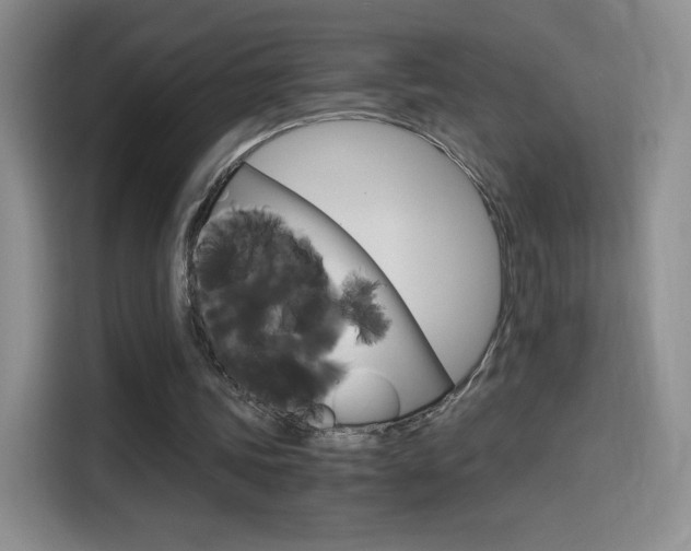 X0000114600339200910191058