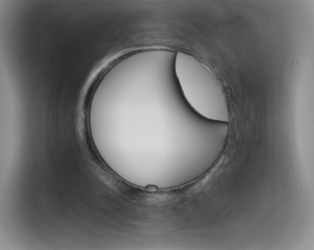 X0000114600342200910191058