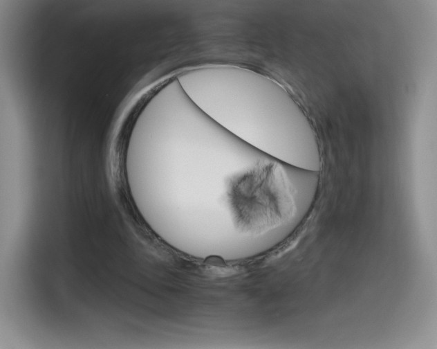 X0000114600343200910191058