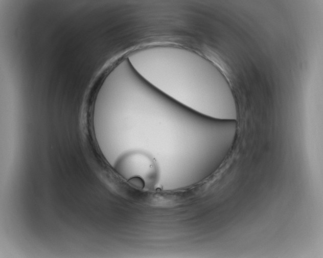 X0000114600346200910191058