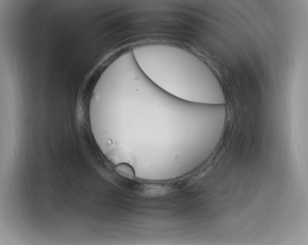 X0000114600347200910191058