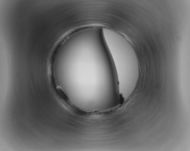 X0000114600350200910191058