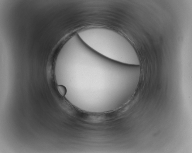 X0000114600351200910191058