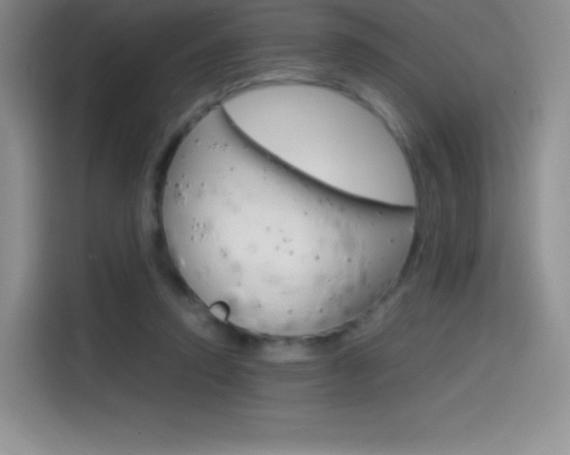 X0000114600354200910191058