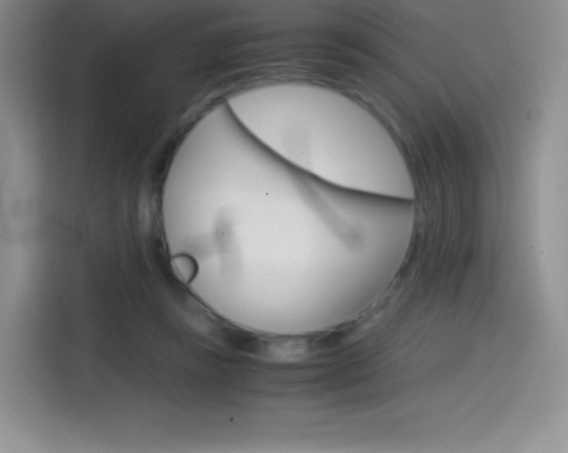 X0000114600355200910191058