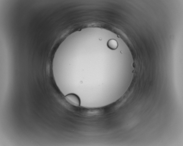 X0000114600357200910191059