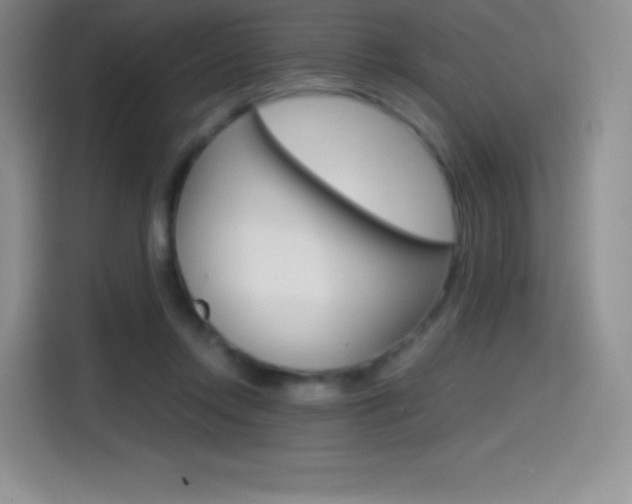 X0000114600358200910191059