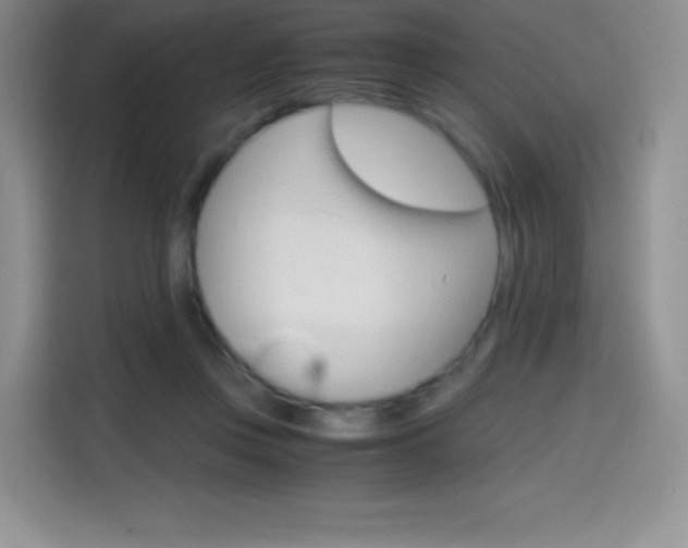 X0000114600359200910191059