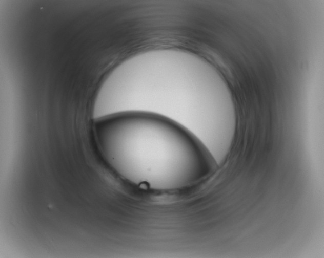 X0000114600362200910191059