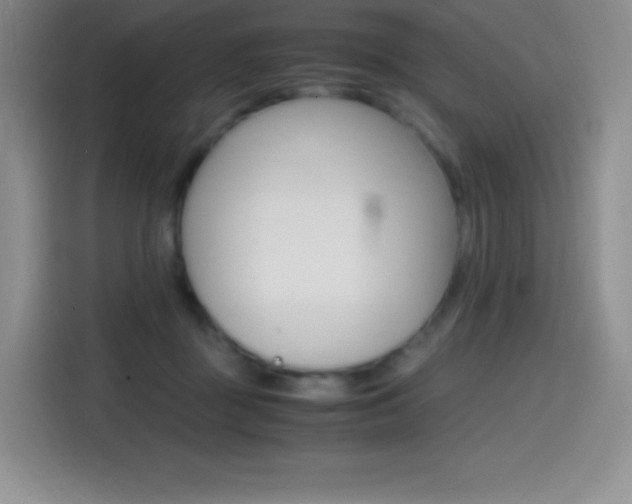 X0000114600363200910191059