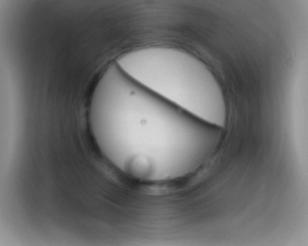 X0000114600366200910191059