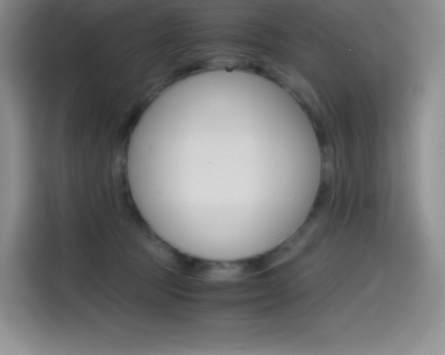 X0000114600369200910191059